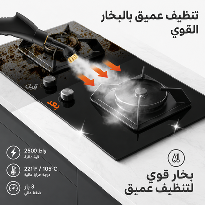 Portable Steam Cleaner