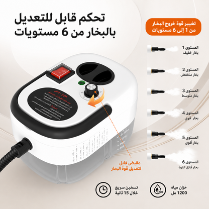 Portable Steam Cleaner